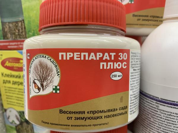 Обработка сада весной от болезней и вредителей: сроки, чем обработать деревья